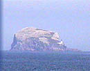 Bass Rock, in the Firth of Forth off North Berwick
